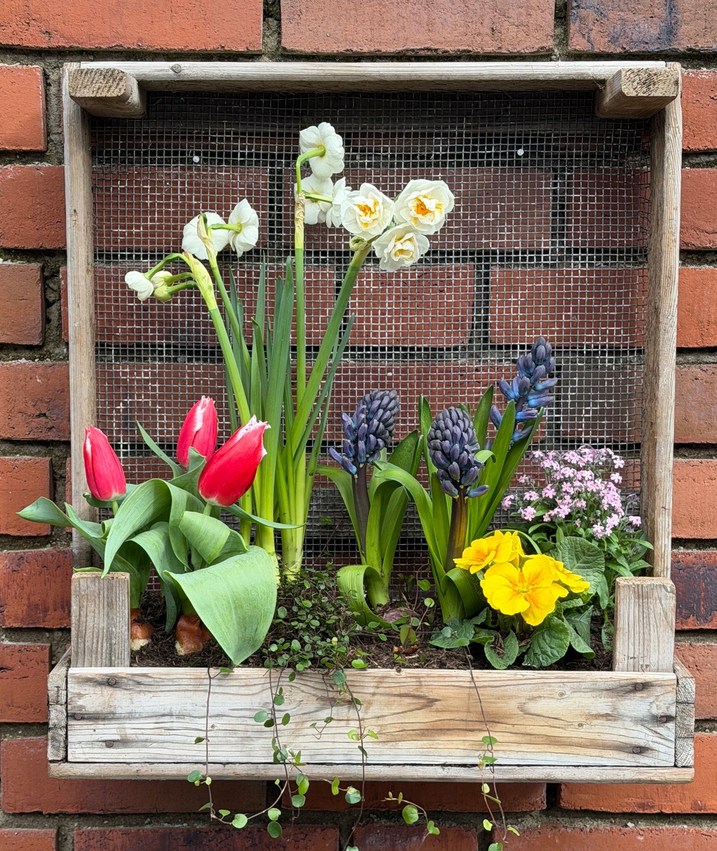 Vintage Tulpenkiste – fertiges Garten- & Wandregal